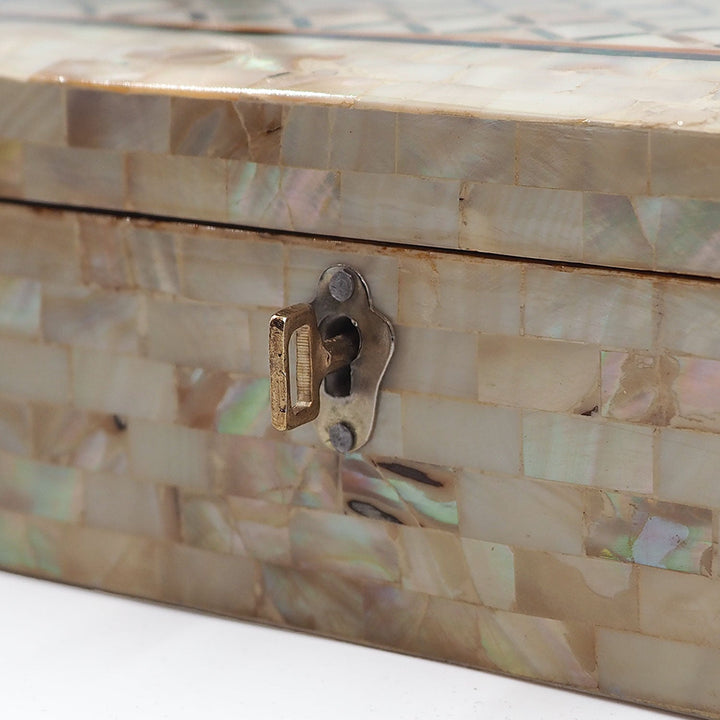 Handcrafted  Mother-of-Pearl Mosaic and Abalone Inlaid Wooden Box - WAAH251